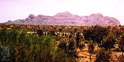 The Olgas on New Years Day 2000